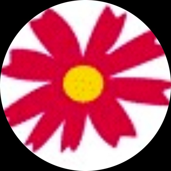 igpvolunteer